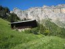 Derborance - 